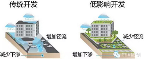 1529762151124259.jpg 1.jpg