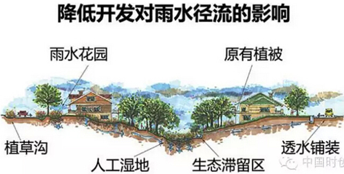 1529762209655703.jpg 2.jpg