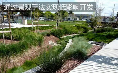 1529762222974017.jpg 3.jpg