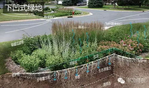 1529762358270681.jpg 6.jpg