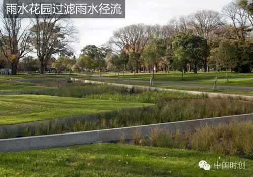 1529762375613006.jpg 7.jpg