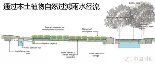 1529762406583772.jpg 8.jpg