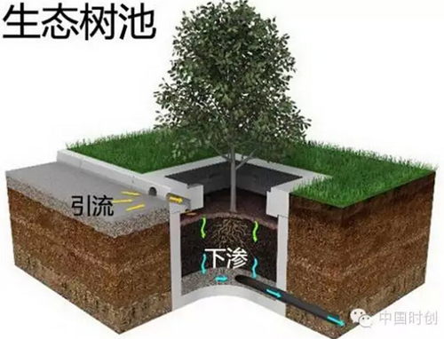 1529762457995404.jpg 11.jpg