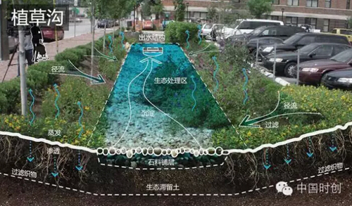 1529762529983596.jpg 12.jpg