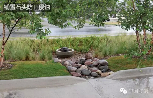 1529762562226747.jpg 14.jpg