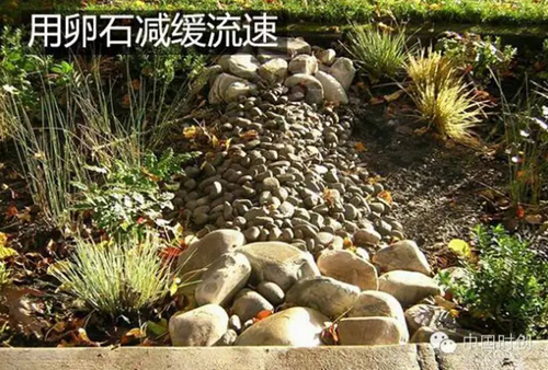 1529762604569276.jpg 15.jpg