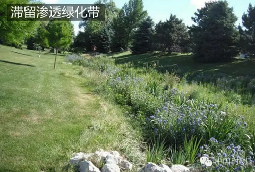 1529762617855643.jpg 16.jpg