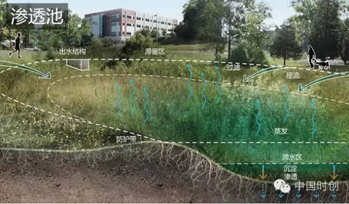 1529762627167768.jpg 17.jpg