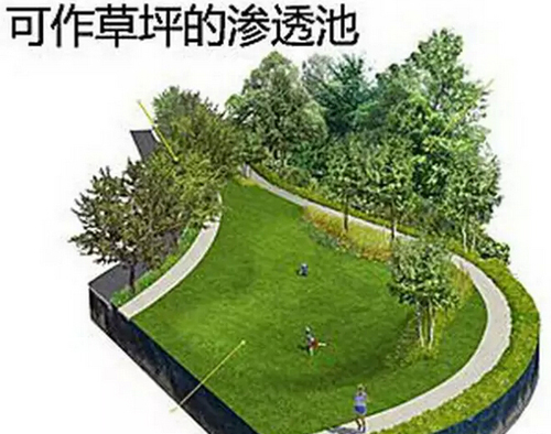 1529762659820314.jpg 18.jpg