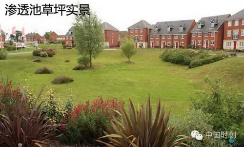 1529762667650450.jpg 19.jpg