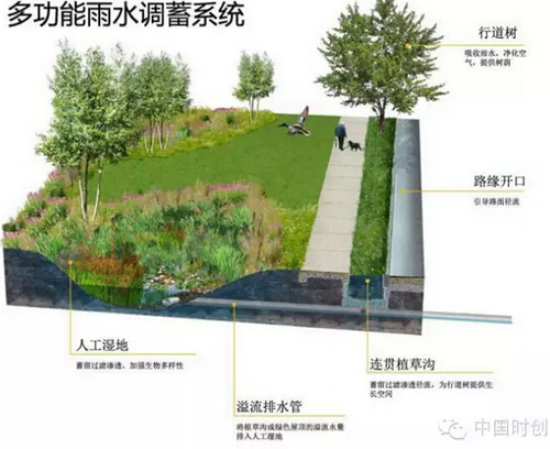 1529762693801258.jpg 21.jpg