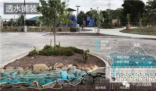 1529762703367507.jpg 22.jpg