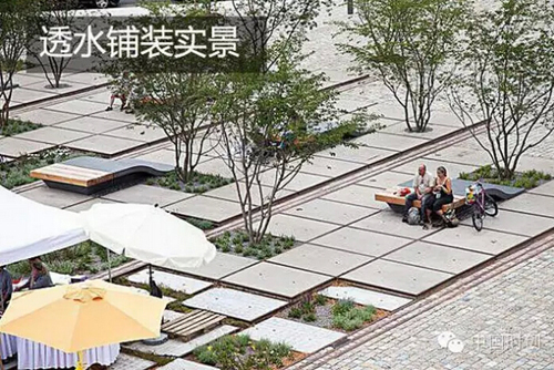 1529762726292714.jpg 23.jpg