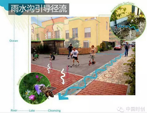 1529762742756612.jpg 24.jpg