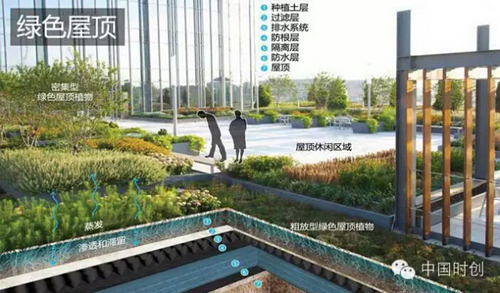 1529762767329717.jpg 26.jpg