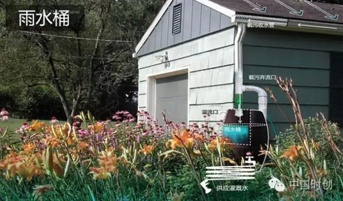 1529762855812082.jpg 32.jpg